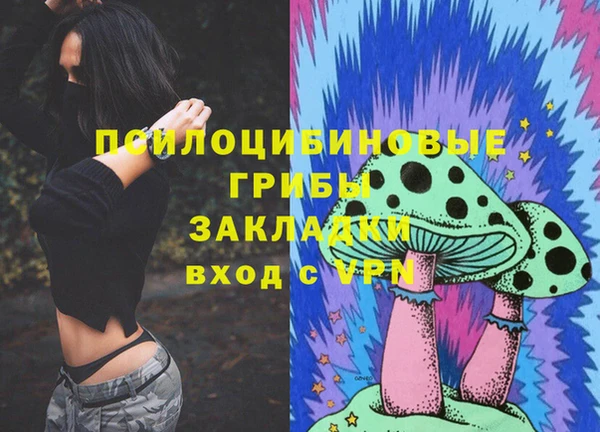 эйфоретик Новозыбков