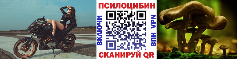 Галлюциногенные грибы мицелий  Купить закладки  Барыш 
